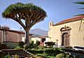Teneriffa - La Orotava