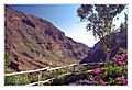 Barranco de Guayadeque