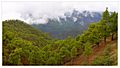 La Palma - Caldera de Taburiente